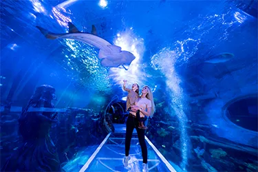 Mother & Daughter Ocean Tunnel MOB