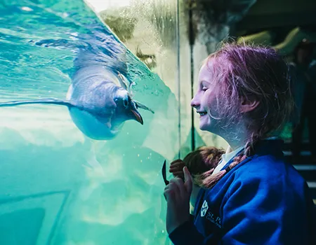SEA LIFE Birmingham